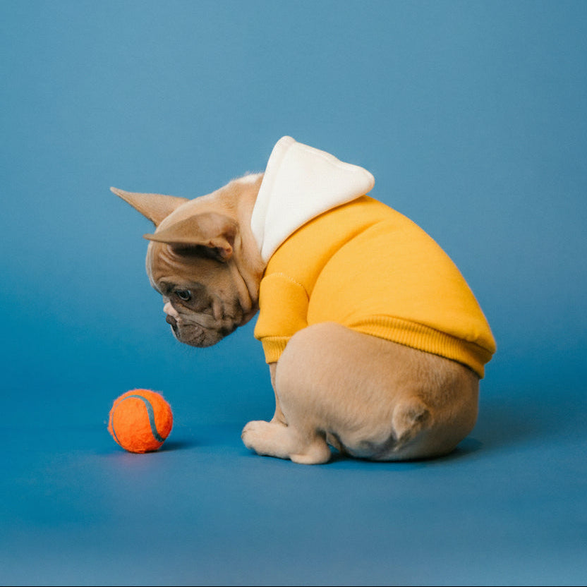 Toys & Clothes