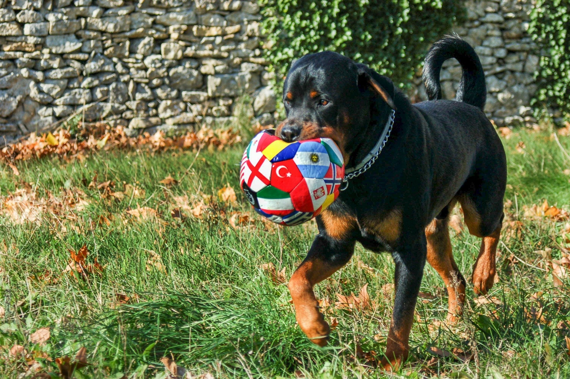 2026 World Cup