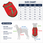 Pet Soccer Jersey