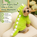 Dinosaur outfit for dogs